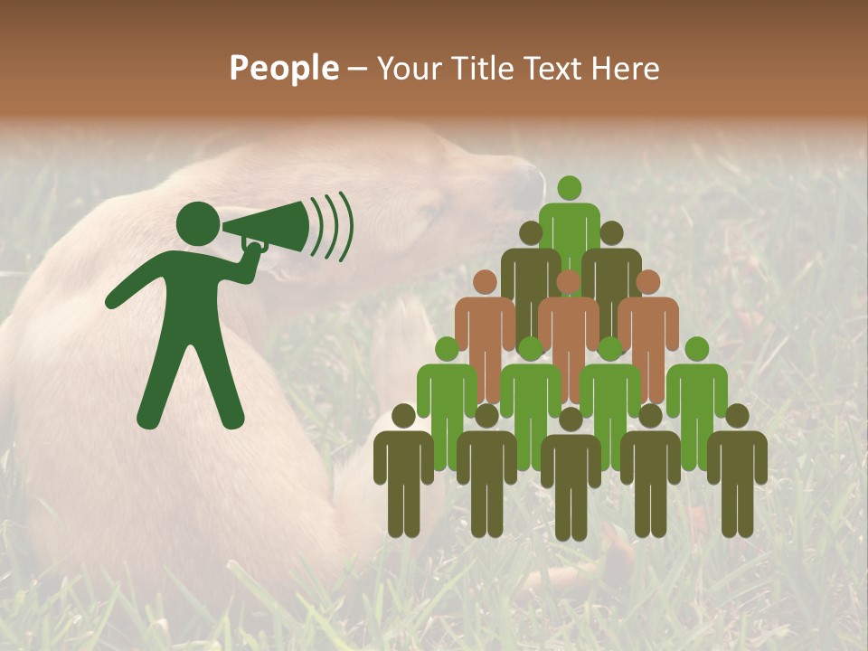 Puppy Scratching PowerPoint Template