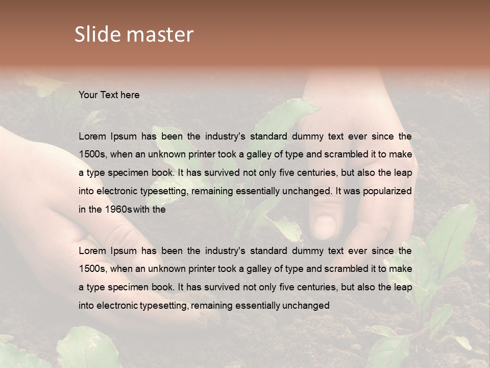 Woman Hands Earthing Beetroot Sprouts Closeup PowerPoint Template