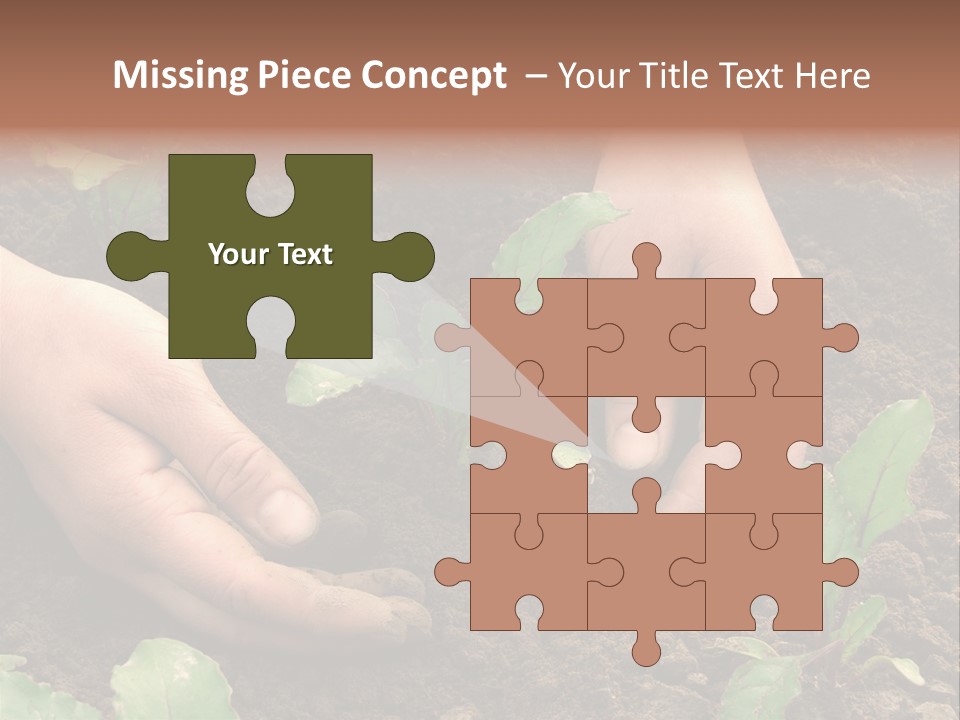 Woman Hands Earthing Beetroot Sprouts Closeup PowerPoint Template