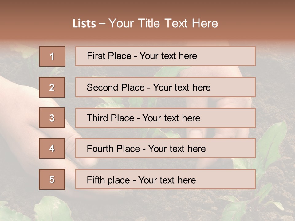 Woman Hands Earthing Beetroot Sprouts Closeup PowerPoint Template