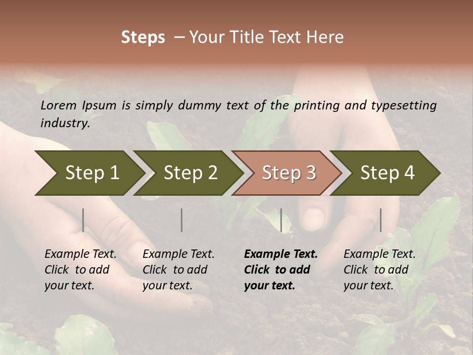 Woman Hands Earthing Beetroot Sprouts Closeup PowerPoint Template