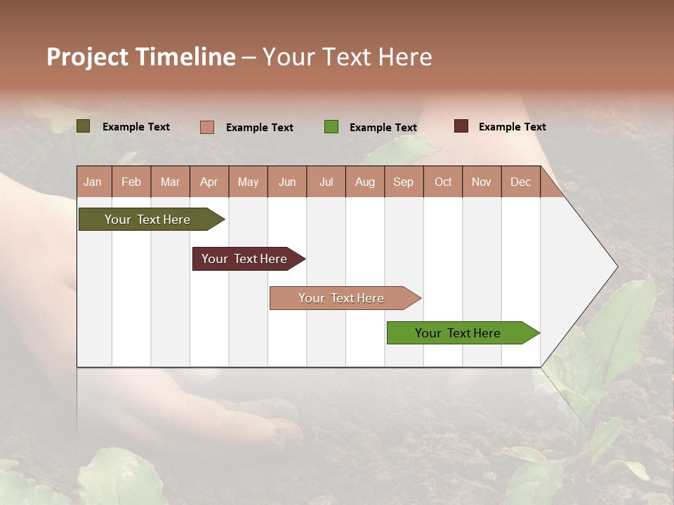 Woman Hands Earthing Beetroot Sprouts Closeup PowerPoint Template