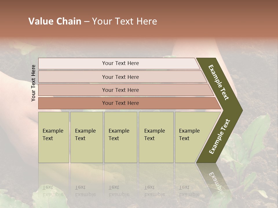 Woman Hands Earthing Beetroot Sprouts Closeup PowerPoint Template