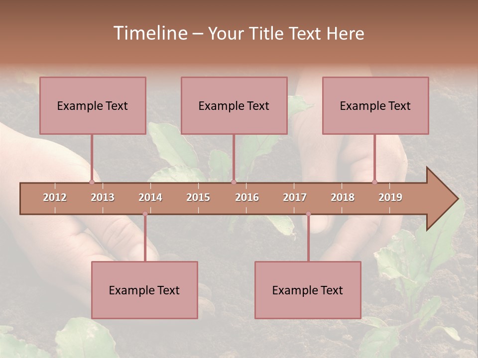 Woman Hands Earthing Beetroot Sprouts Closeup PowerPoint Template