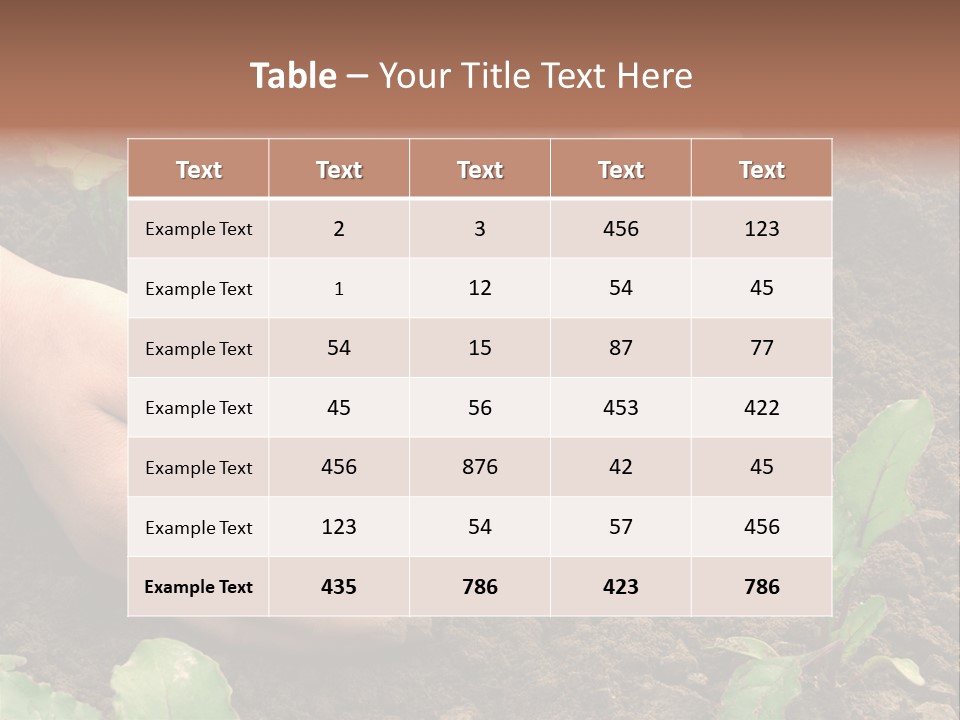 Woman Hands Earthing Beetroot Sprouts Closeup PowerPoint Template