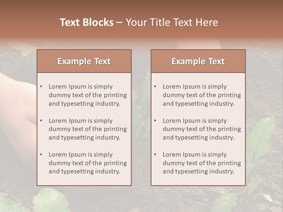 Woman Hands Earthing Beetroot Sprouts Closeup PowerPoint Template