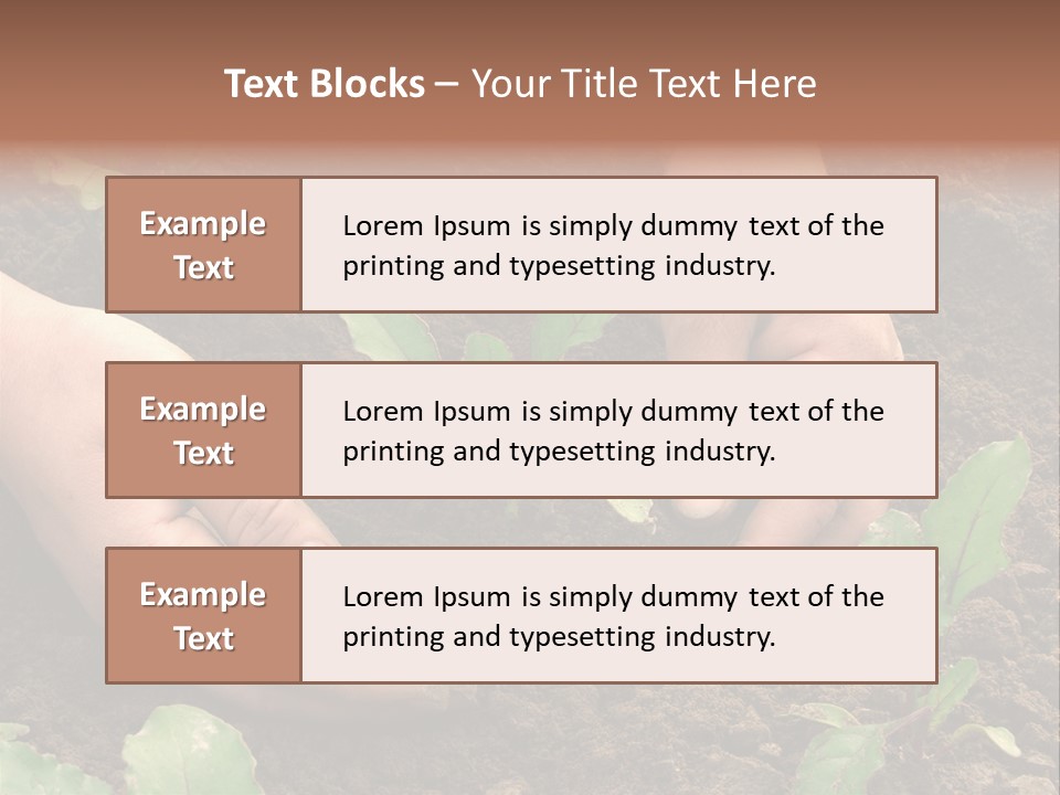 Woman Hands Earthing Beetroot Sprouts Closeup PowerPoint Template