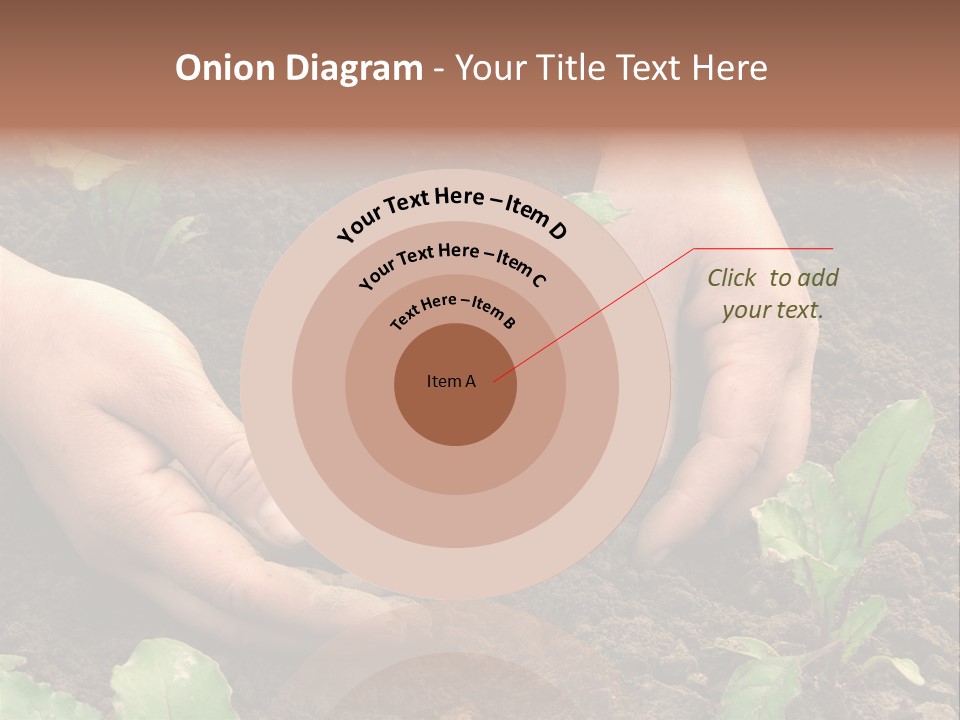 Woman Hands Earthing Beetroot Sprouts Closeup PowerPoint Template