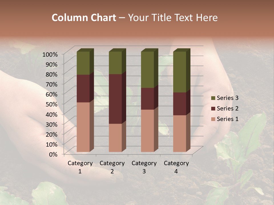 Woman Hands Earthing Beetroot Sprouts Closeup PowerPoint Template