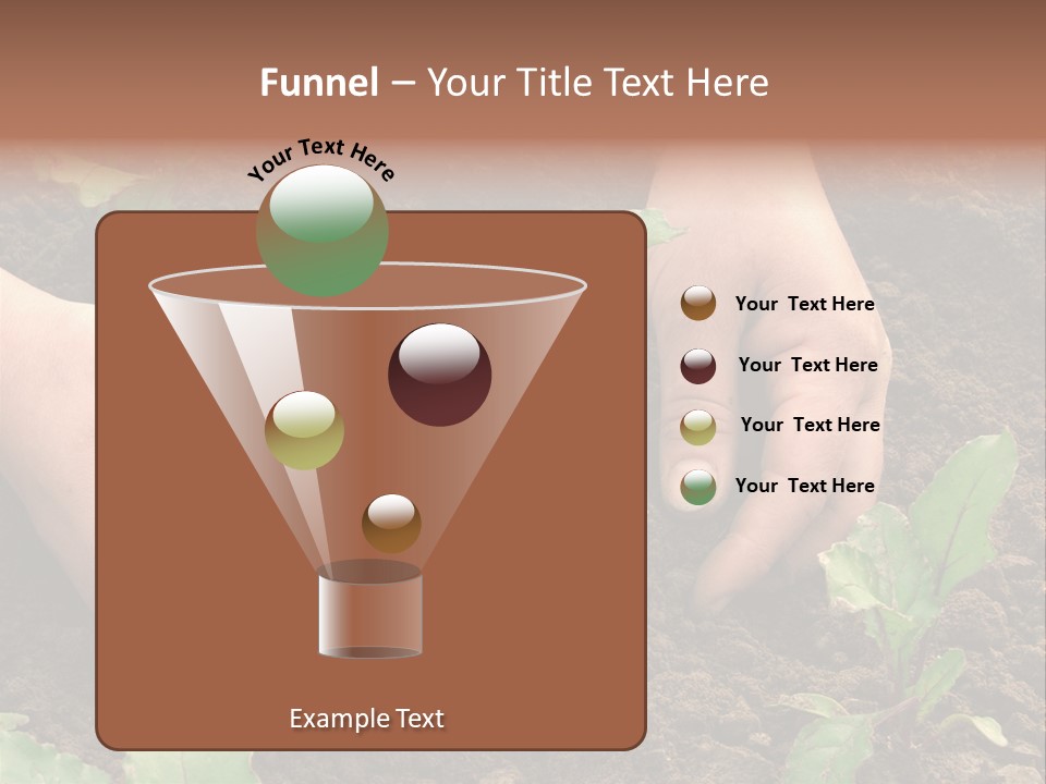 Woman Hands Earthing Beetroot Sprouts Closeup PowerPoint Template