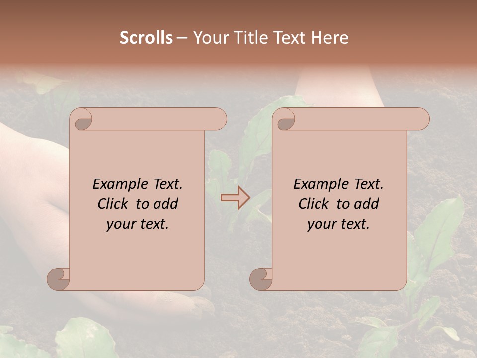 Woman Hands Earthing Beetroot Sprouts Closeup PowerPoint Template