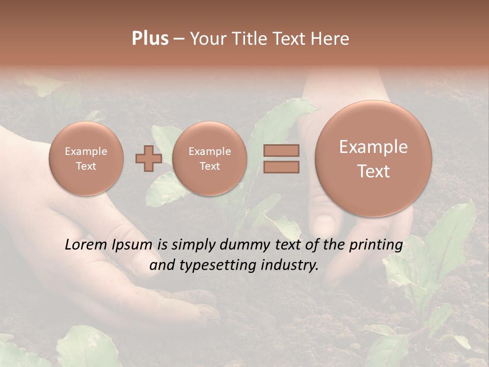 Woman Hands Earthing Beetroot Sprouts Closeup PowerPoint Template