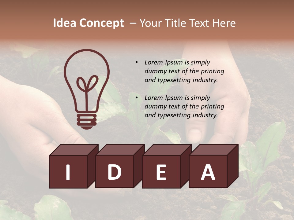 Woman Hands Earthing Beetroot Sprouts Closeup PowerPoint Template