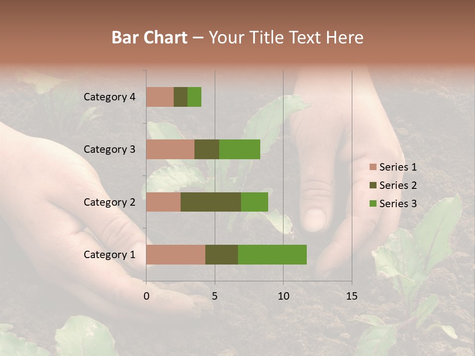 Woman Hands Earthing Beetroot Sprouts Closeup PowerPoint Template