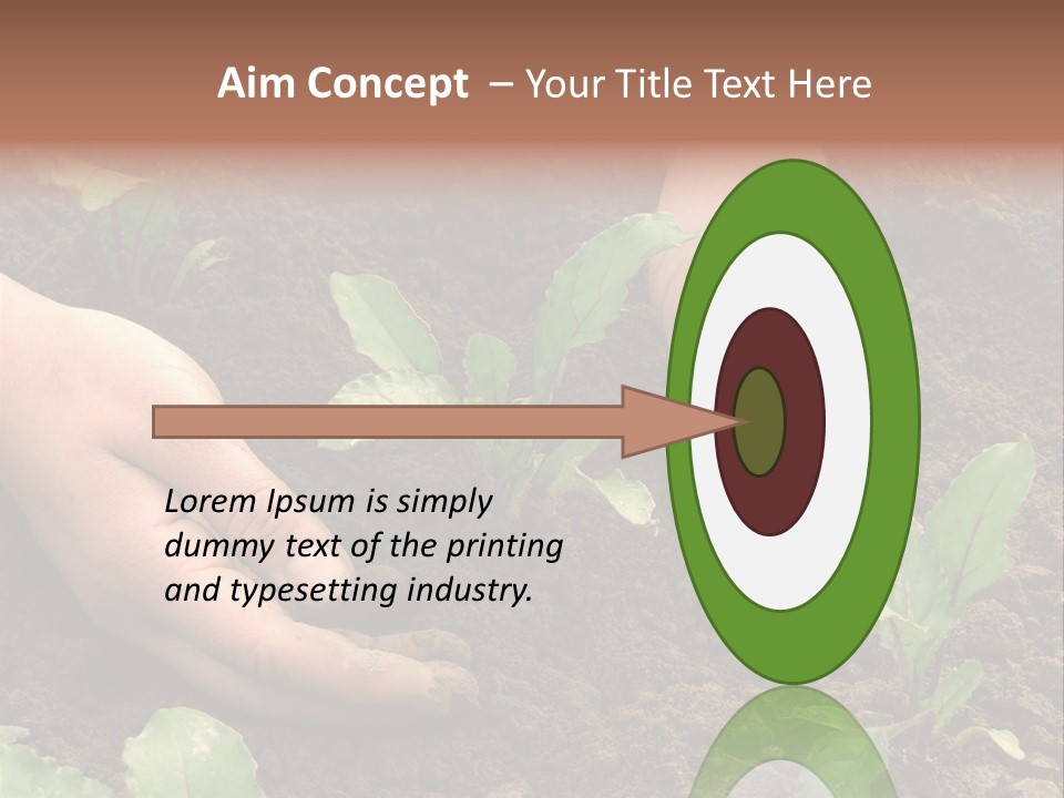 Woman Hands Earthing Beetroot Sprouts Closeup PowerPoint Template