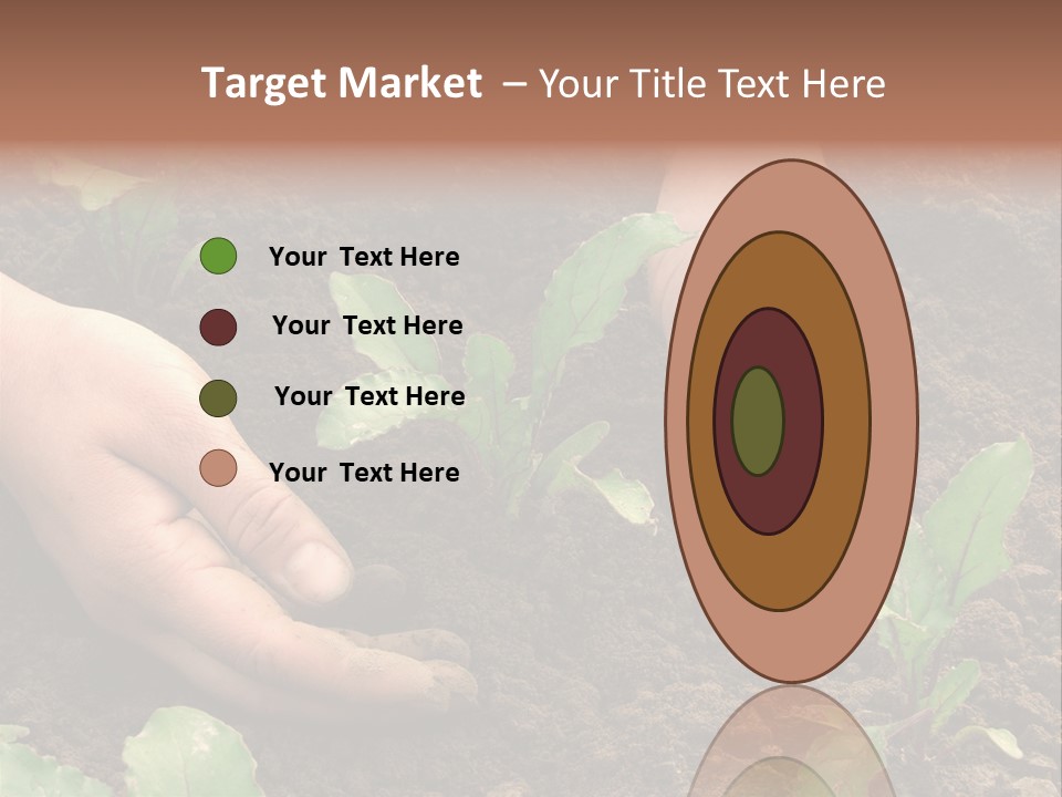 Woman Hands Earthing Beetroot Sprouts Closeup PowerPoint Template