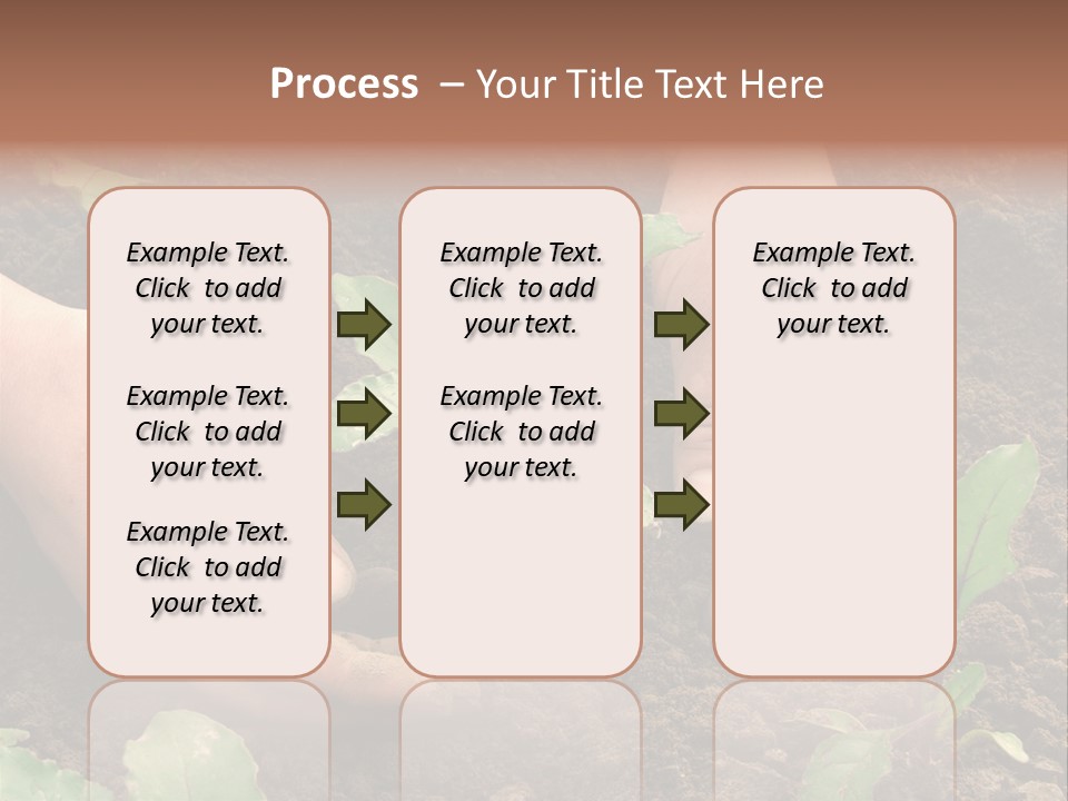 Woman Hands Earthing Beetroot Sprouts Closeup PowerPoint Template