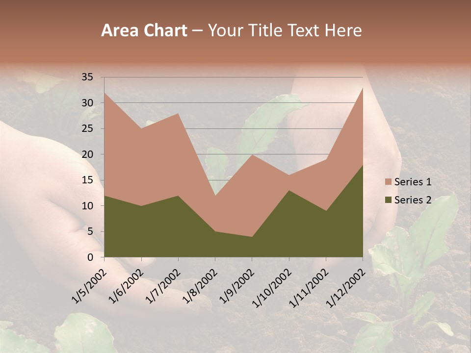 Woman Hands Earthing Beetroot Sprouts Closeup PowerPoint Template