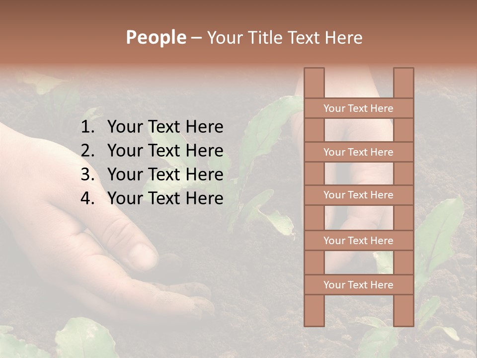 Woman Hands Earthing Beetroot Sprouts Closeup PowerPoint Template