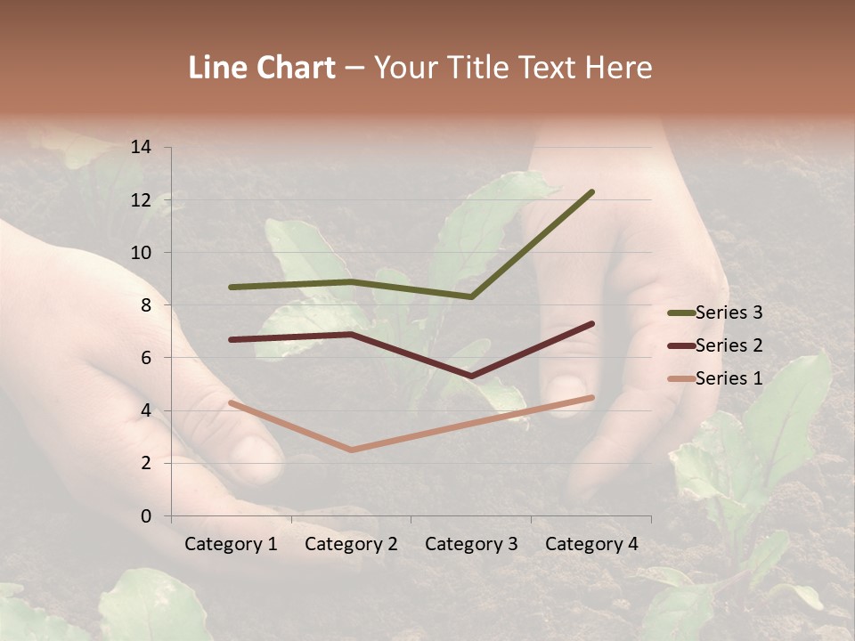 Woman Hands Earthing Beetroot Sprouts Closeup PowerPoint Template
