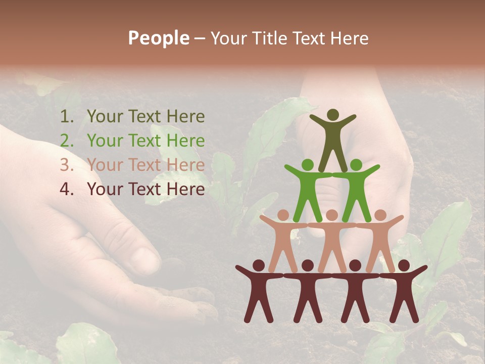 Woman Hands Earthing Beetroot Sprouts Closeup PowerPoint Template