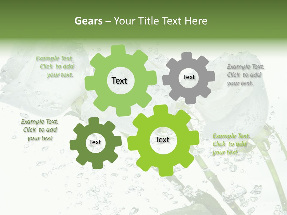 Flower In Water. Creanive Bubbles. White Background PowerPoint Template