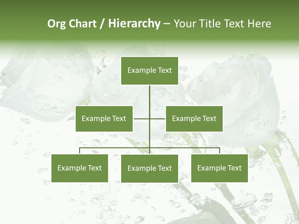 Flower In Water. Creanive Bubbles. White Background PowerPoint Template