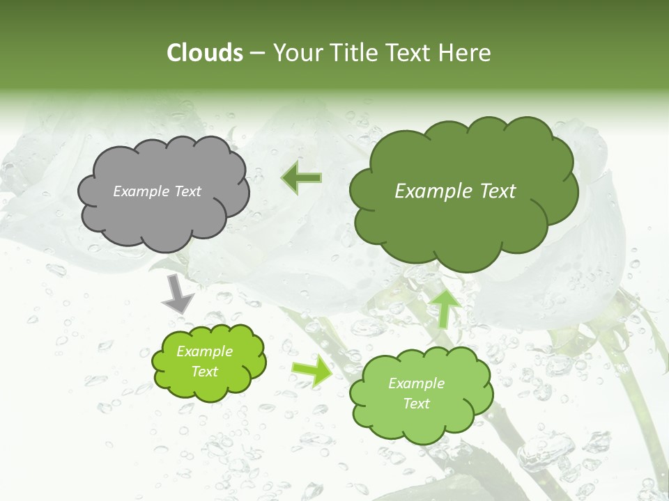 Flower In Water. Creanive Bubbles. White Background PowerPoint Template