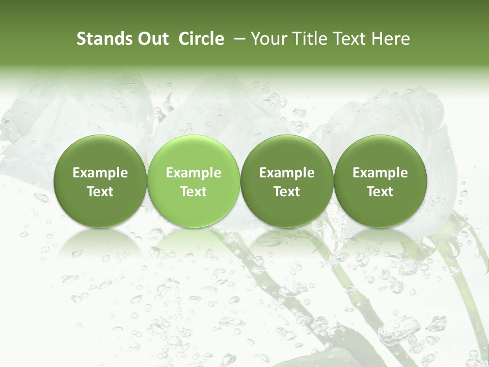 Flower In Water. Creanive Bubbles. White Background PowerPoint Template