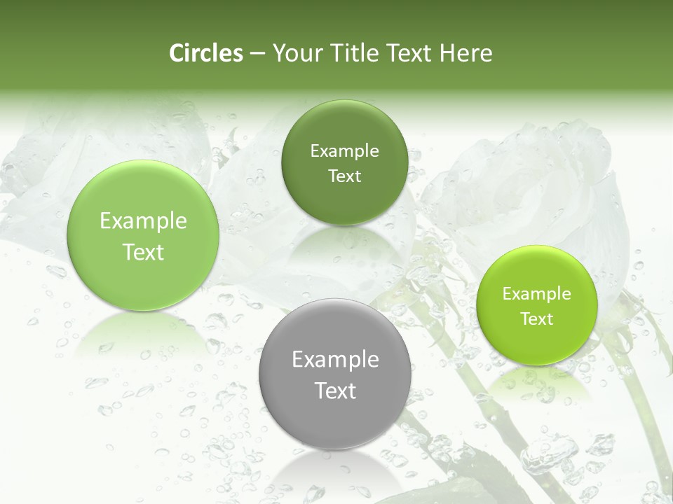 Flower In Water. Creanive Bubbles. White Background PowerPoint Template