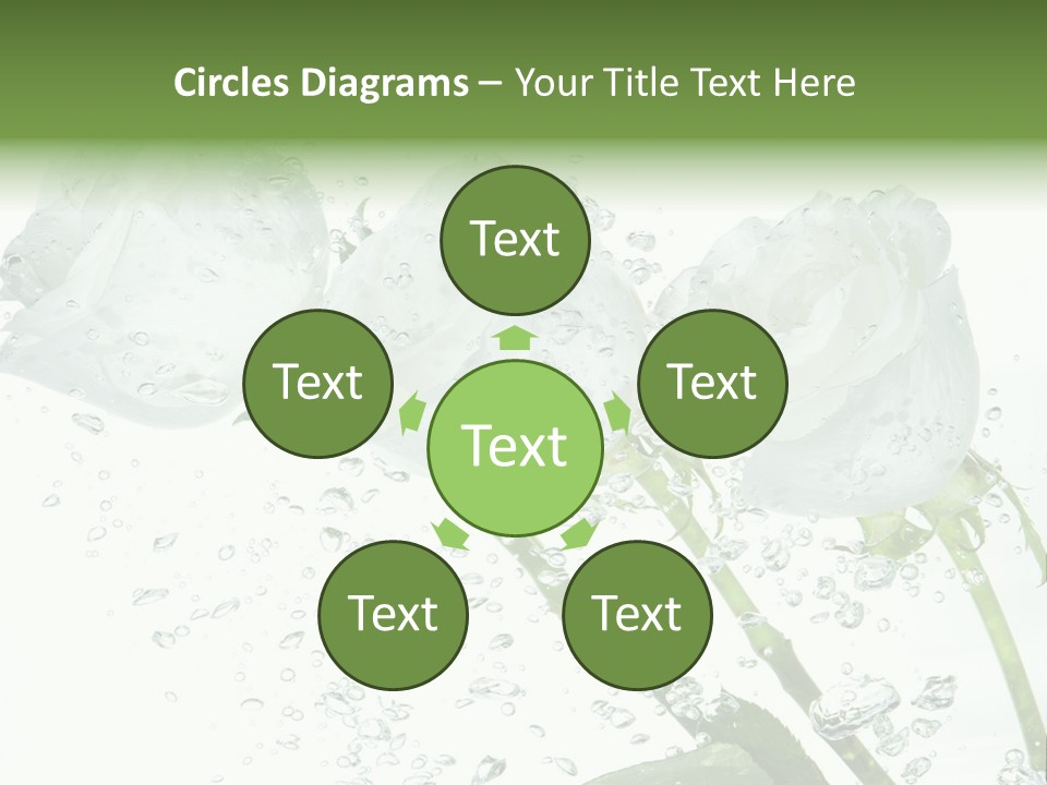 Flower In Water. Creanive Bubbles. White Background PowerPoint Template