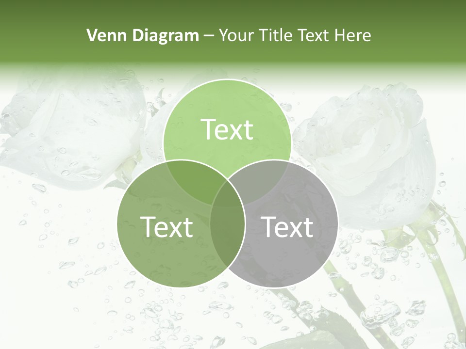 Flower In Water. Creanive Bubbles. White Background PowerPoint Template