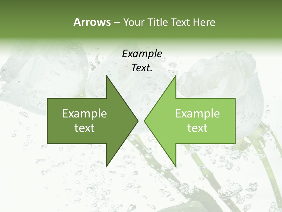 Flower In Water. Creanive Bubbles. White Background PowerPoint Template