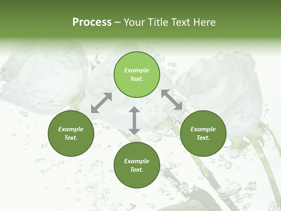 Flower In Water. Creanive Bubbles. White Background PowerPoint Template