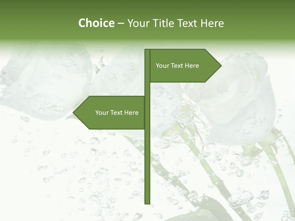 Flower In Water. Creanive Bubbles. White Background PowerPoint Template