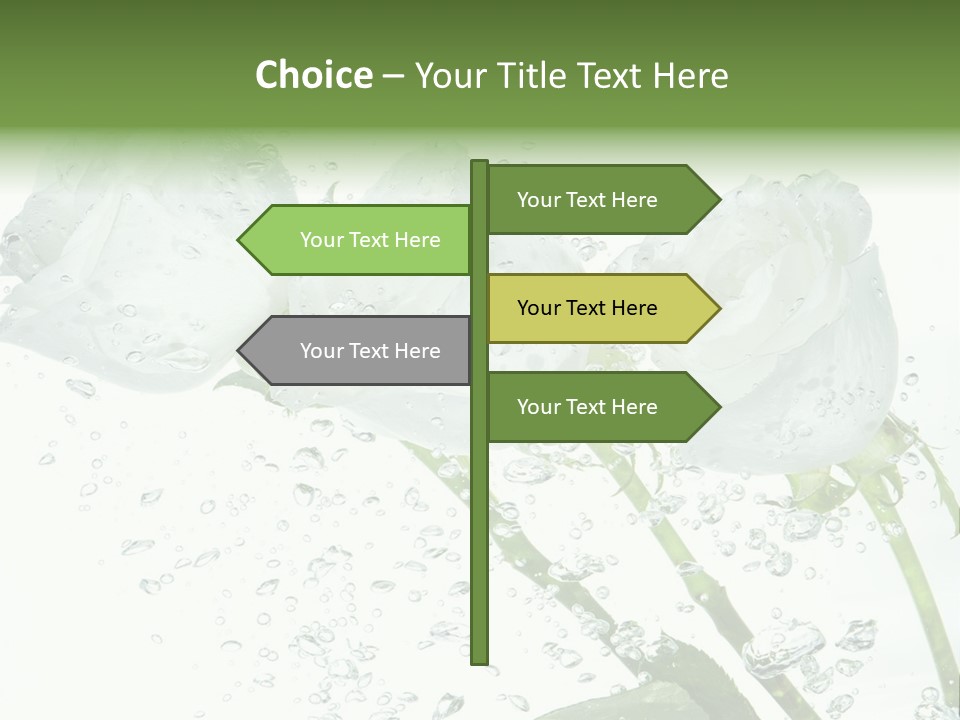 Flower In Water. Creanive Bubbles. White Background PowerPoint Template