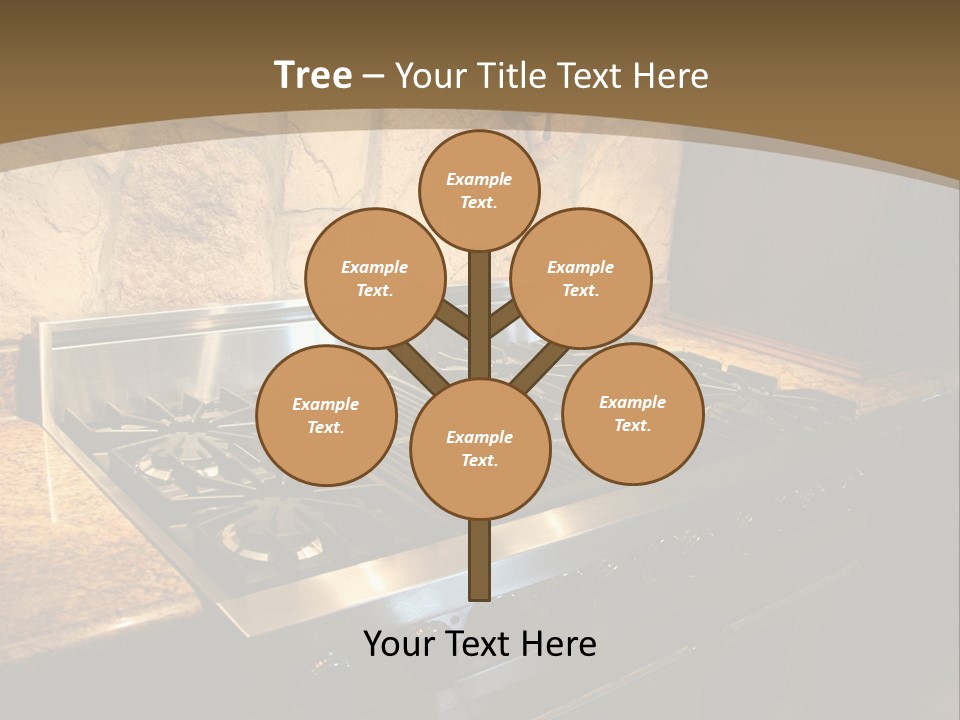 Image Of A Million Dollar Modern Middle Tennessee Home. Gas Stainless Steel Oven And Stove. PowerPoint Template