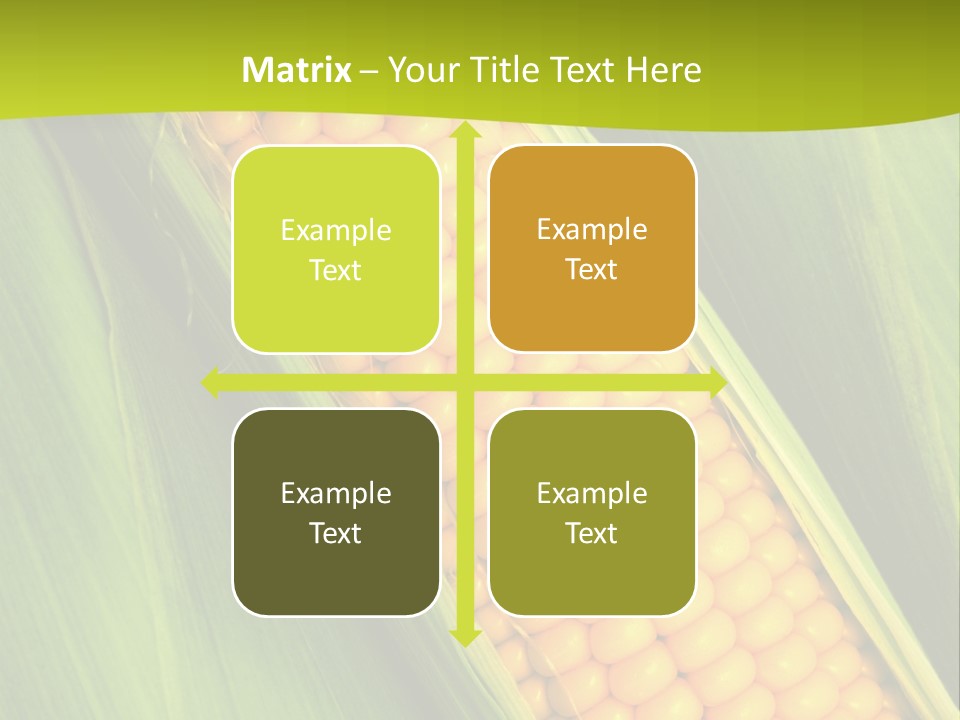 Corn Cob Between Green Leaves PowerPoint Template