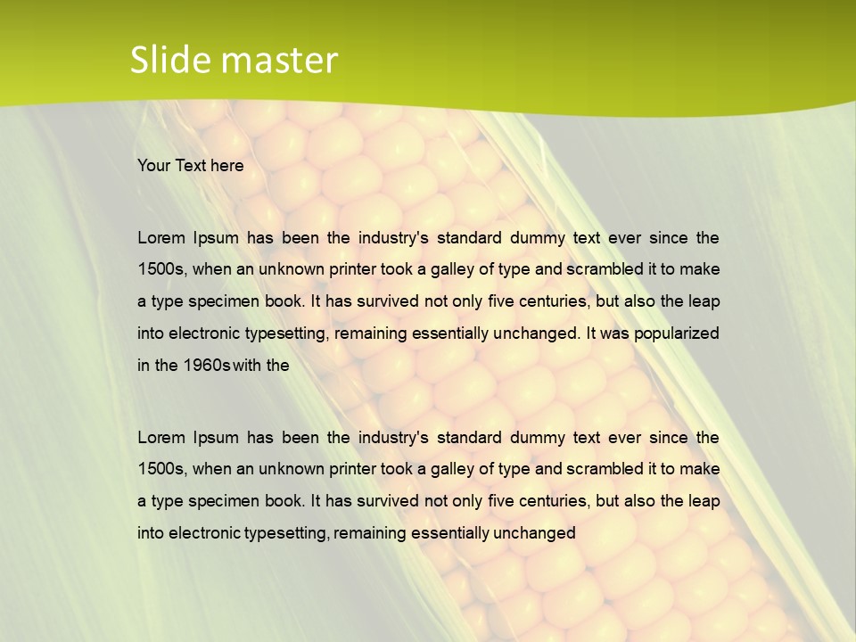 Corn Cob Between Green Leaves PowerPoint Template