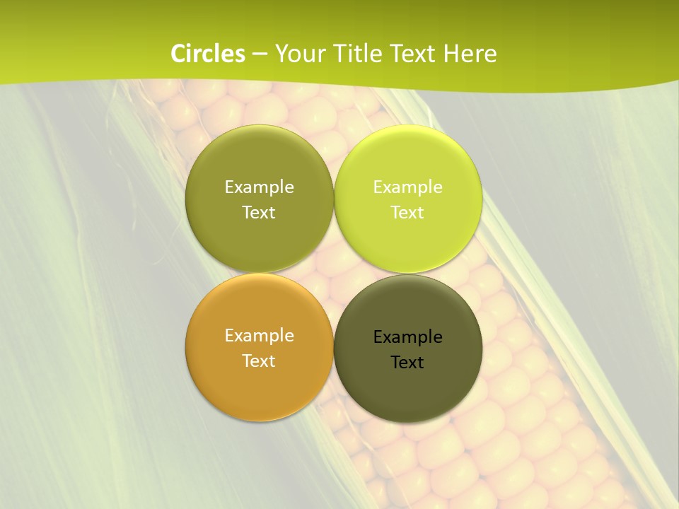 Corn Cob Between Green Leaves PowerPoint Template