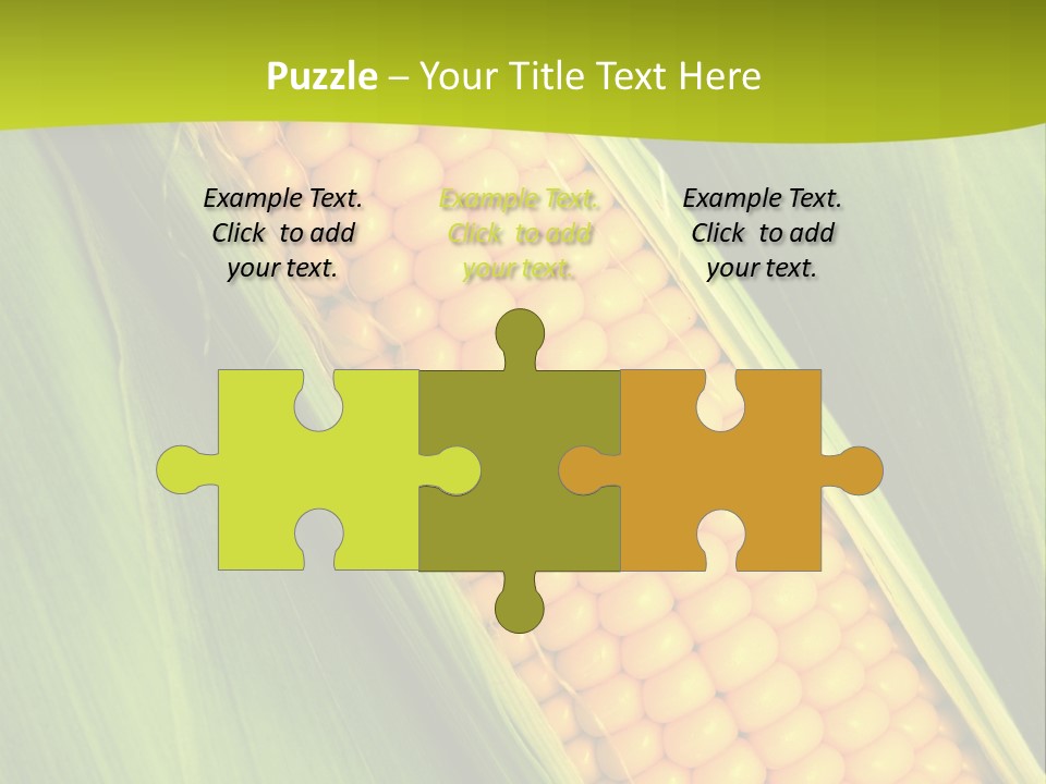 Corn Cob Between Green Leaves PowerPoint Template