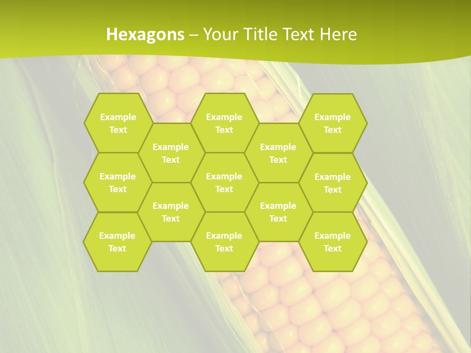 Corn Cob Between Green Leaves PowerPoint Template