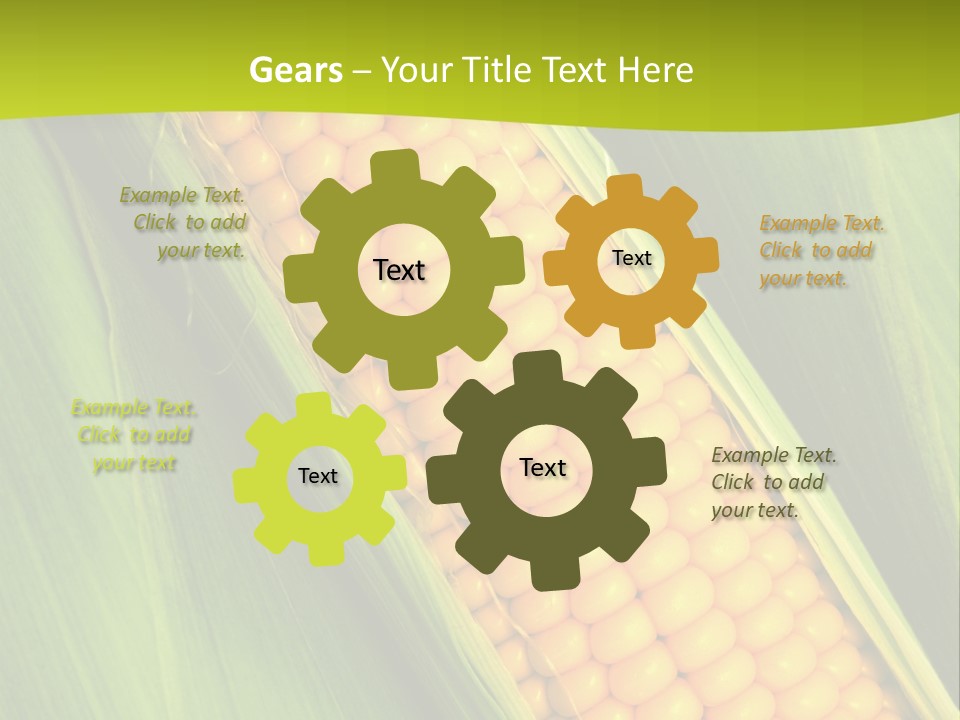 Corn Cob Between Green Leaves PowerPoint Template