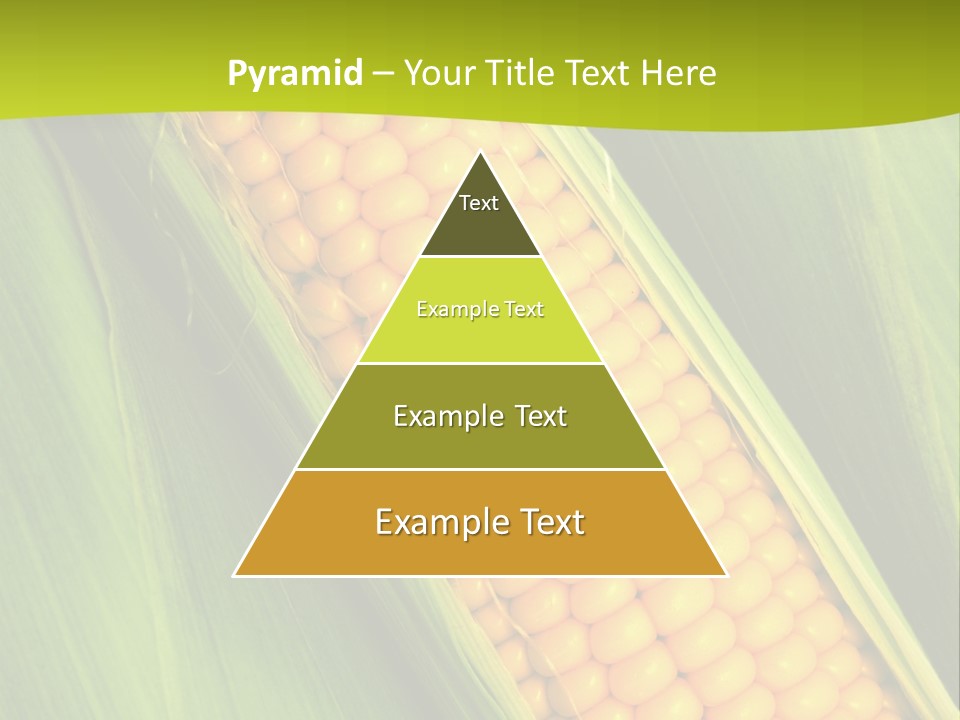 Corn Cob Between Green Leaves PowerPoint Template