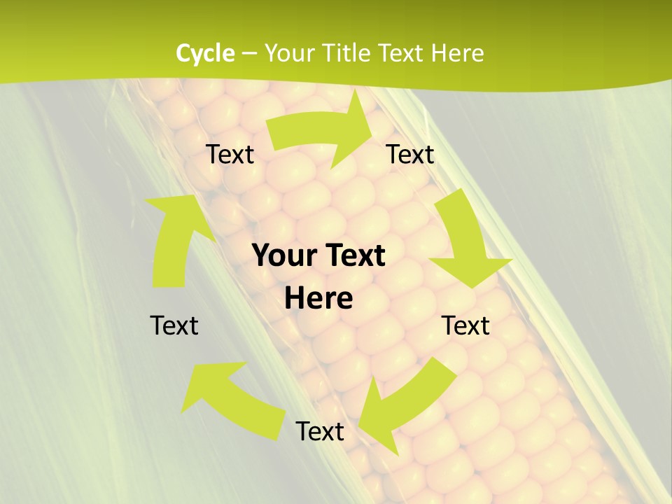 Corn Cob Between Green Leaves PowerPoint Template