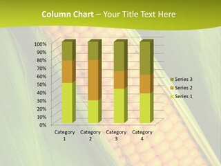 Corn Cob Between Green Leaves PowerPoint Template