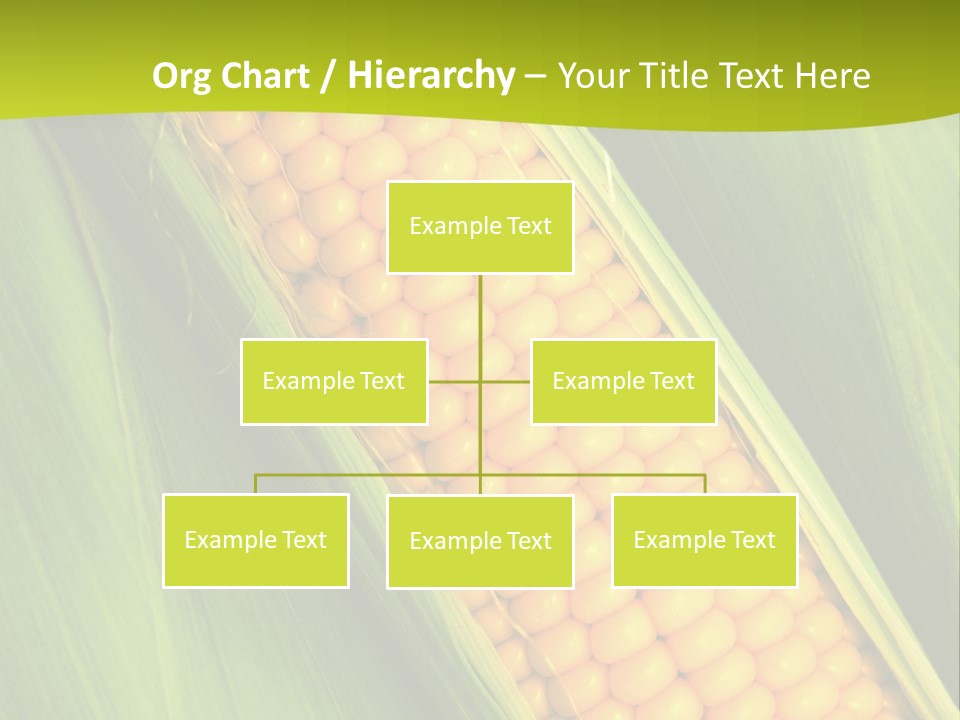Corn Cob Between Green Leaves PowerPoint Template