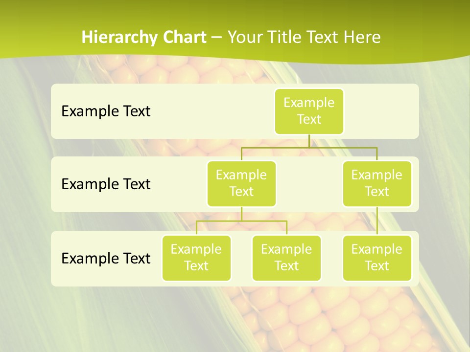 Corn Cob Between Green Leaves PowerPoint Template