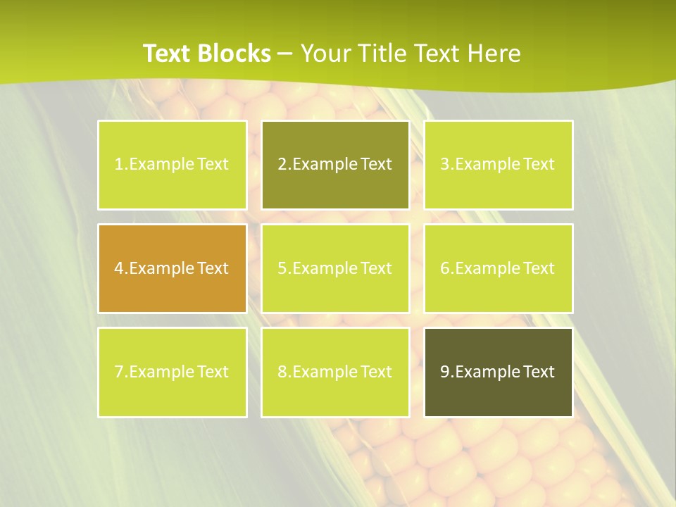 Corn Cob Between Green Leaves PowerPoint Template