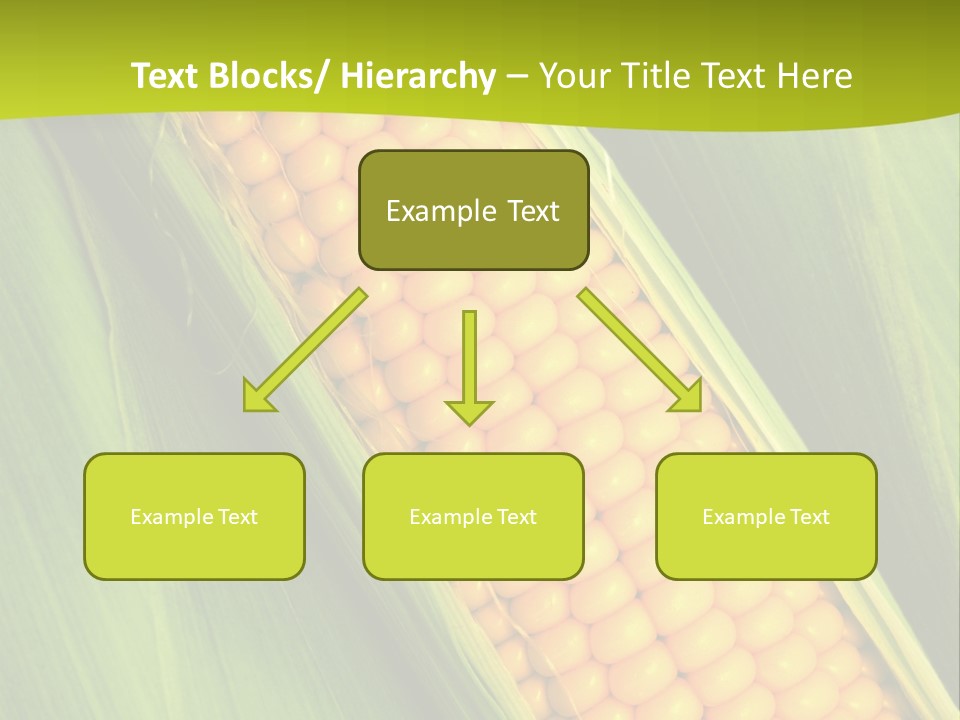 Corn Cob Between Green Leaves PowerPoint Template
